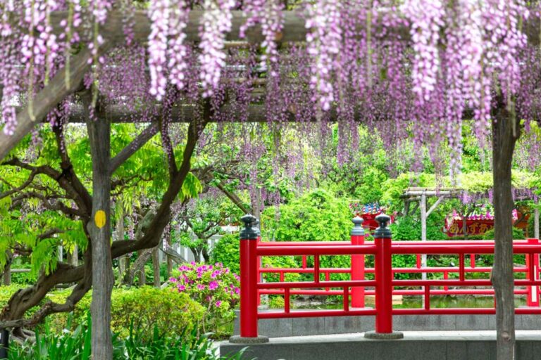 亀戸天神の御朱印｜関東三天神の一つ。四季折々の美しい花々が彩る「花の天神様」についてご紹介！（東京都 亀戸）