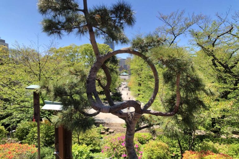 清水観音堂の御朱印｜400年前に京都の清水寺に見立てて建てられた上野公園にあるお寺（東京都 台東区 上野）